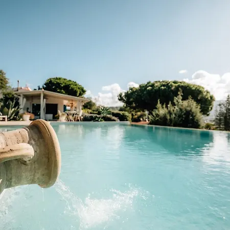 Michaela Con Piscina Privata E Vista Mare Capo Vaticano